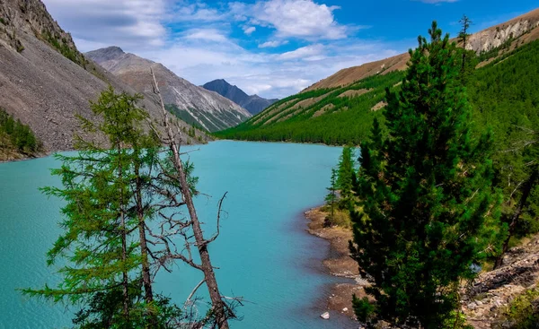 Lago Shavlinskoye República Altai — Fotografia de Stock