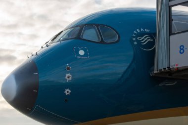 29 Ekim 2019, Moskova, Rusya. Uçak.