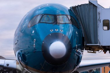 29 Ekim 2019, Moskova, Rusya. Uçak.