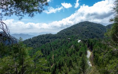 Orta Kıbrıs dağlarında güneşli bir yaz gününde ormanla kaplı yeşil tepeler.