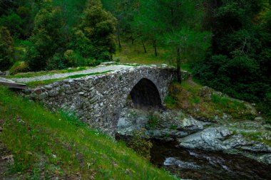 Kıbrıs adasındaki Troodos dağlarındaki antik Venedik köprüsü.