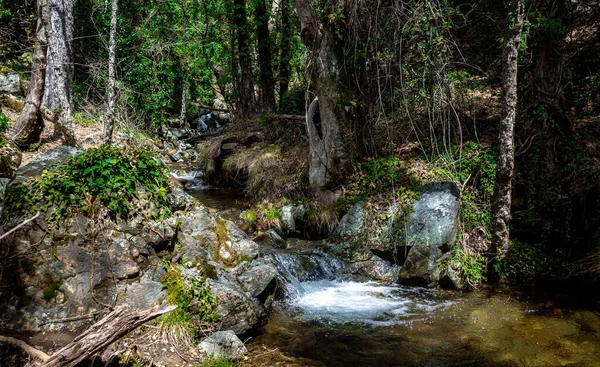 Cachoeira Rio Montanha Verão Quente Nas Montanhas Centro Chipre — Fotografia de Stock