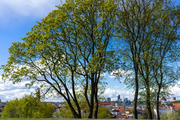 Dubna 2018 Vilnius Litva Pohled Staré Město Vilnius Nejvyššího Bodu — Stock fotografie