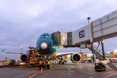 29 Ekim 2019, Moskova, Rusya. Uçak.