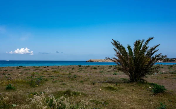 Praia Rochosa Costa Mediterrânica Península Akamas Ilha Chipre — Fotografia de Stock