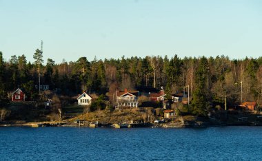 Baltık Denizi 'ndeki Stockholm takımadasının konut adasında geleneksel falun kırmızısına boyanmış resimli yazlıklar..