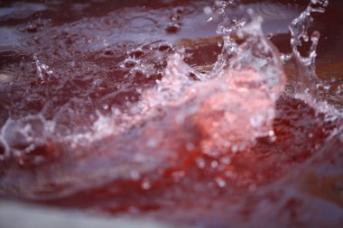 Gün ışığında su dalgaları