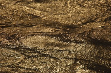 Gün ışığında su dalgaları