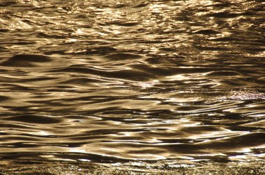 Gün ışığında su dalgaları