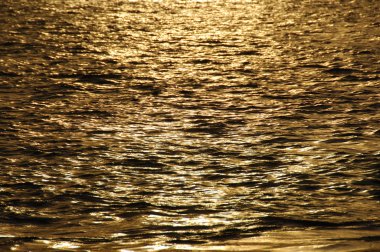 Gün ışığında su dalgaları