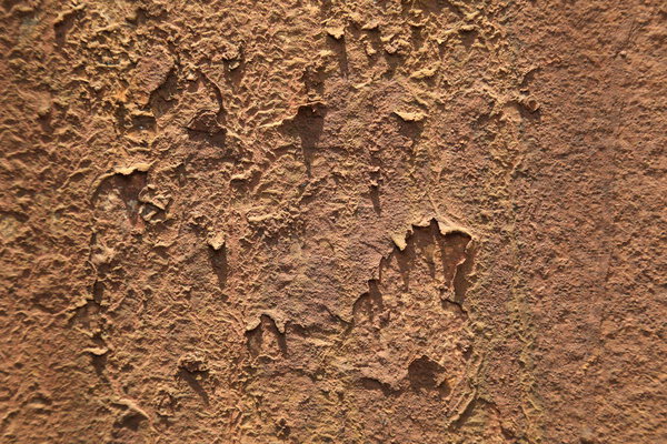 old wall Texture