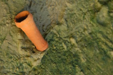 Antika kalede maskaralık