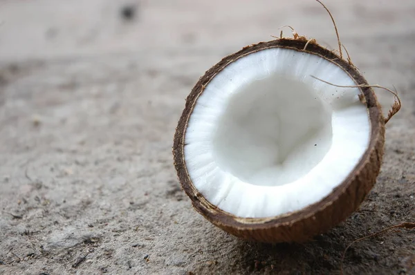 Coco de perto — Fotografia de Stock