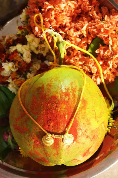 Coconut close up — Stock Photo, Image