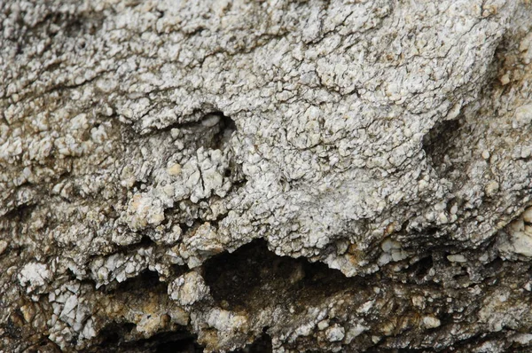 Textura de pedra bruta — Fotografia de Stock