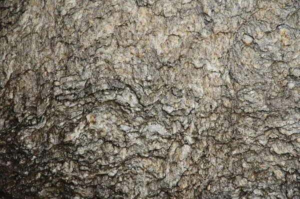 Texture pietra grezza — Foto Stock