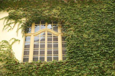 Avrupa'nın Vintage binalar