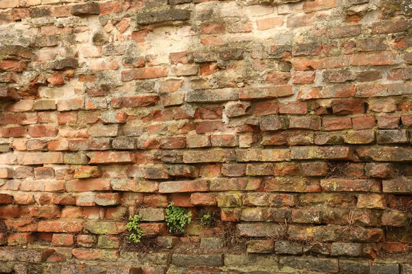 Textura antigua pared — Foto de Stock