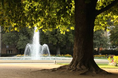 yaz yeşil park