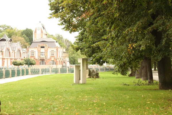 Zomer groene park — Stockfoto