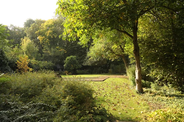 Zomer groene park — Stockfoto