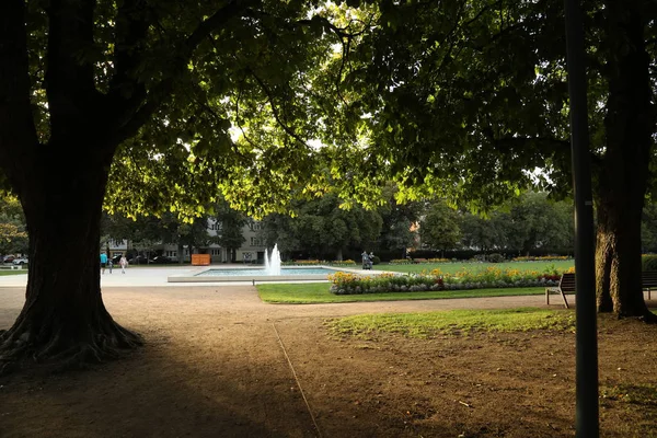 Verão parque verde — Fotografia de Stock