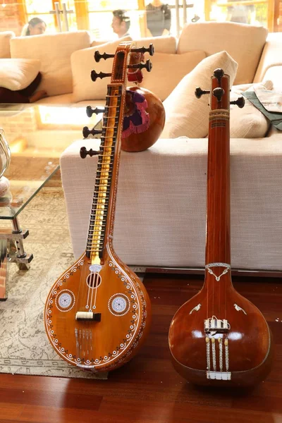 インド音楽の楽器ヴィーナ — ストック写真