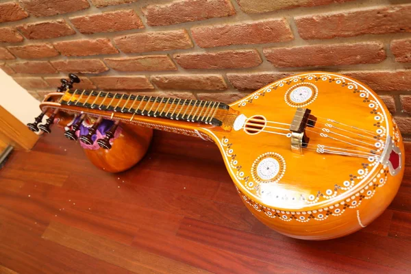 Indiase muziek instrument Veena — Stockfoto