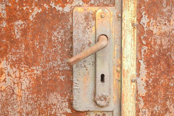 Armário da porta de formiga — Fotografia de Stock