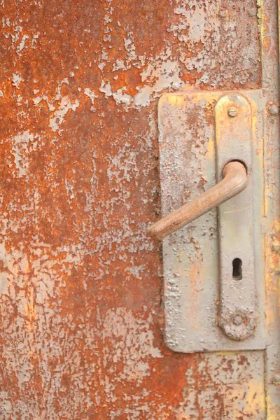Armário da porta de formiga — Fotografia de Stock