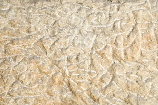 Raw stone Texture — Stock Photo, Image