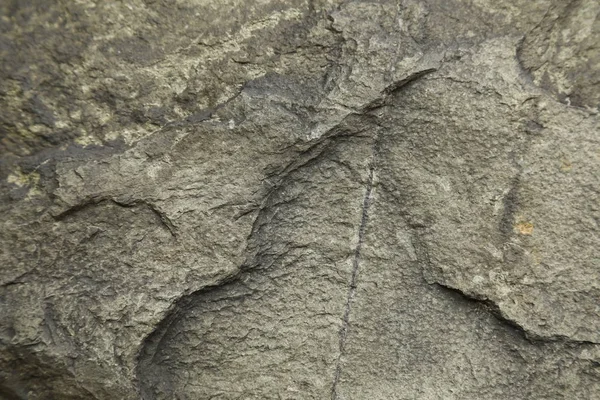 Textura de pedra bruta — Fotografia de Stock