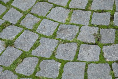 Keçiyolundan kuyrukları