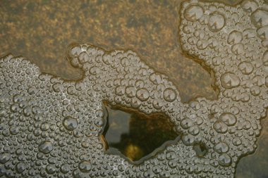 Hava kabarcıkları makro çekim