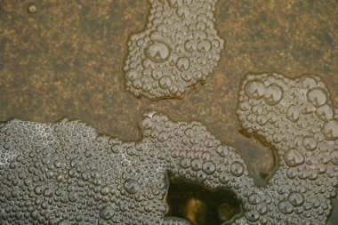 Hava kabarcıkları makro çekim