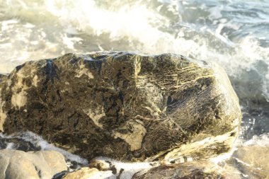 Denizde su dalgaları