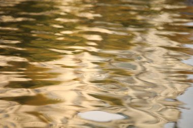 Denizde su dalgaları