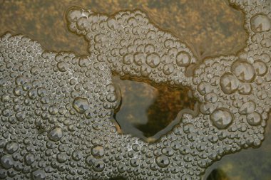 Sudaki hava kabarcıkları