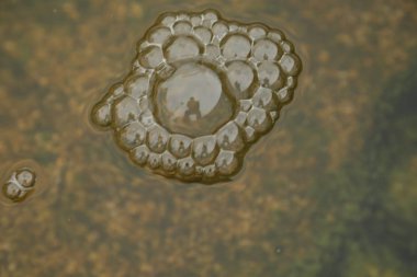 Sudaki hava kabarcıkları