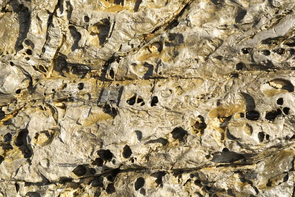 Textura de piedra cruda — Foto de Stock