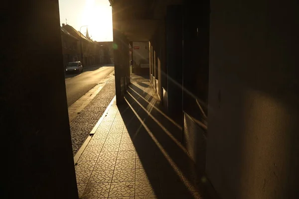 Schwänze auf dem Fußweg — Stockfoto