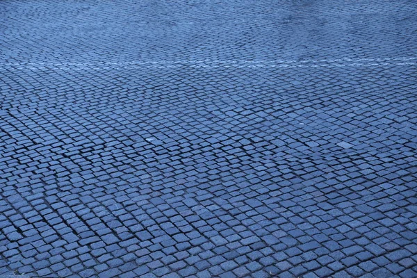 Schwänze auf dem Fußweg — Stockfoto