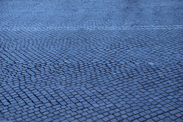 Tails on the Footpath,Prague, Czech republic