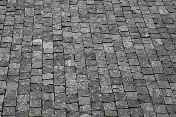 Tails on the Footpath — Stock Photo, Image