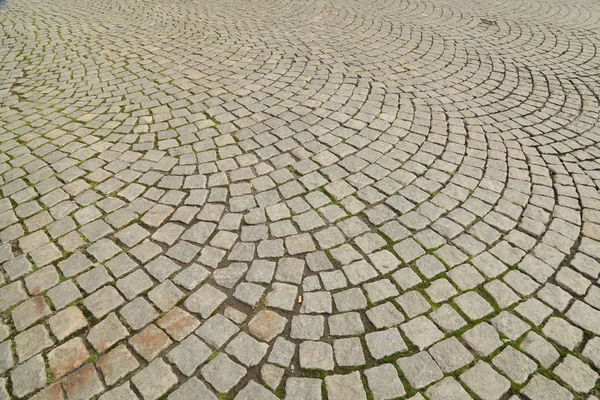 Caudas no Passo a Passo — Fotografia de Stock