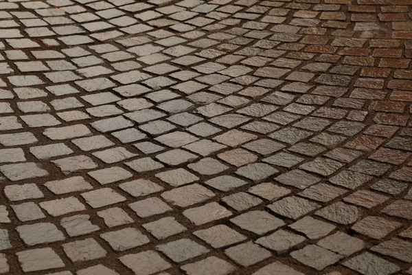 Tails on the Footpath — Stock Photo, Image