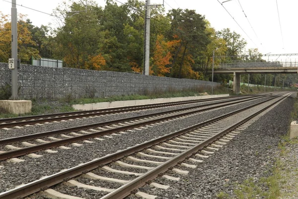 Σιδηροδρομικές γραμμές στην αγροτική περιοχή — Φωτογραφία Αρχείου