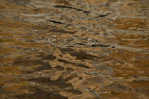 Wasserwellen im Meer — Stockfoto