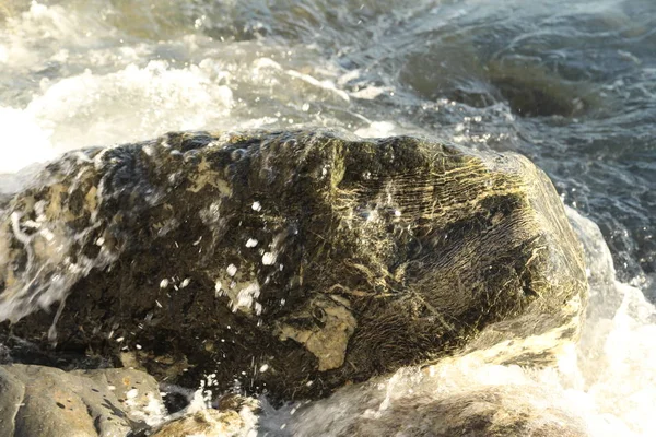 Ondas de água no mar — Fotografia de Stock