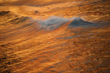 Denizde su dalgaları